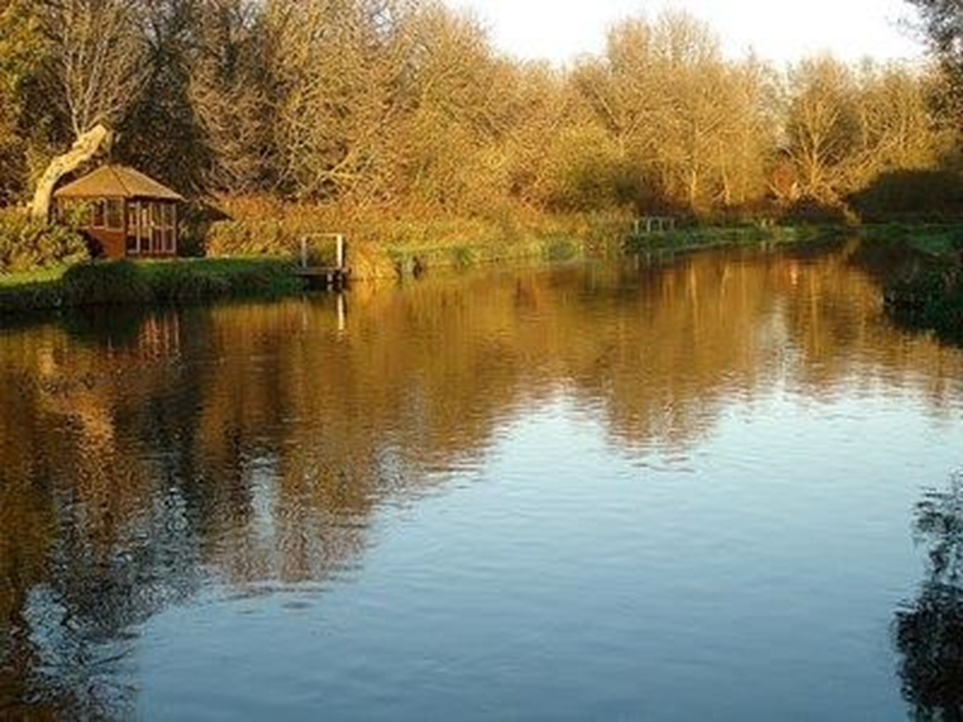 TEST, FULLERTON FISHING