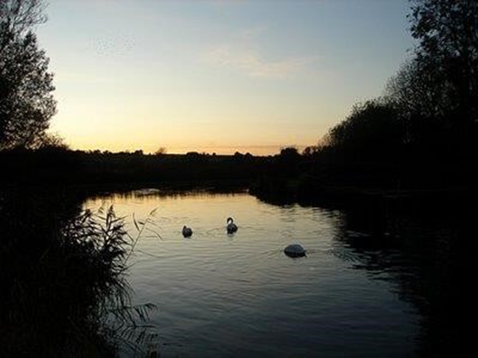 TEST, FULLERTON FISHING