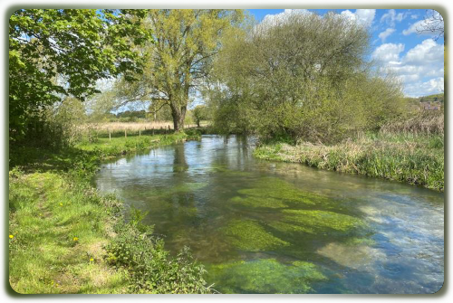 ITCHEN, LOWER BISHOPSTOKE FISHERY (grayling)